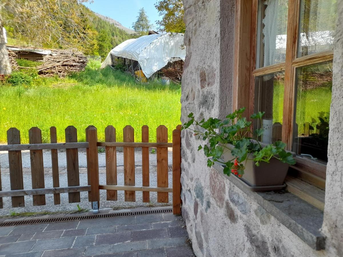 B&B Chalet Dolomiti Sant'Orsola Extérieur photo